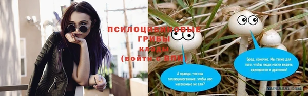 спайс Баксан